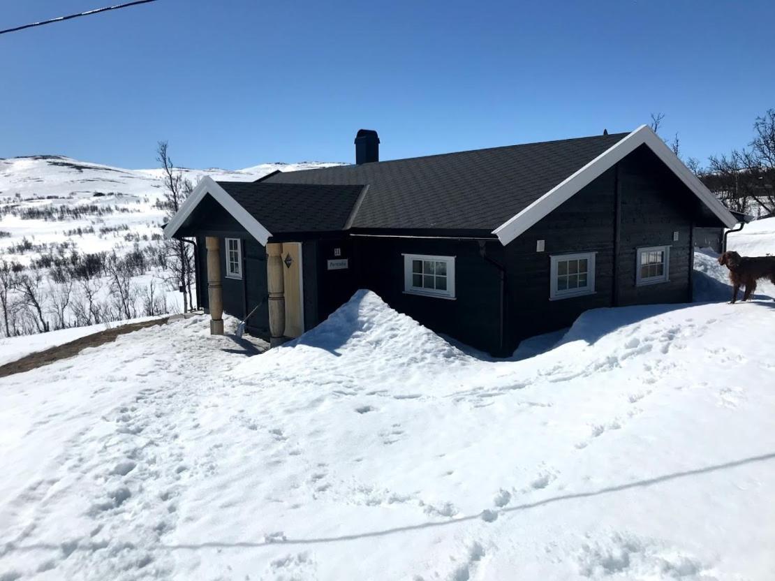 Berntebu Villa Uvdal Eksteriør billede