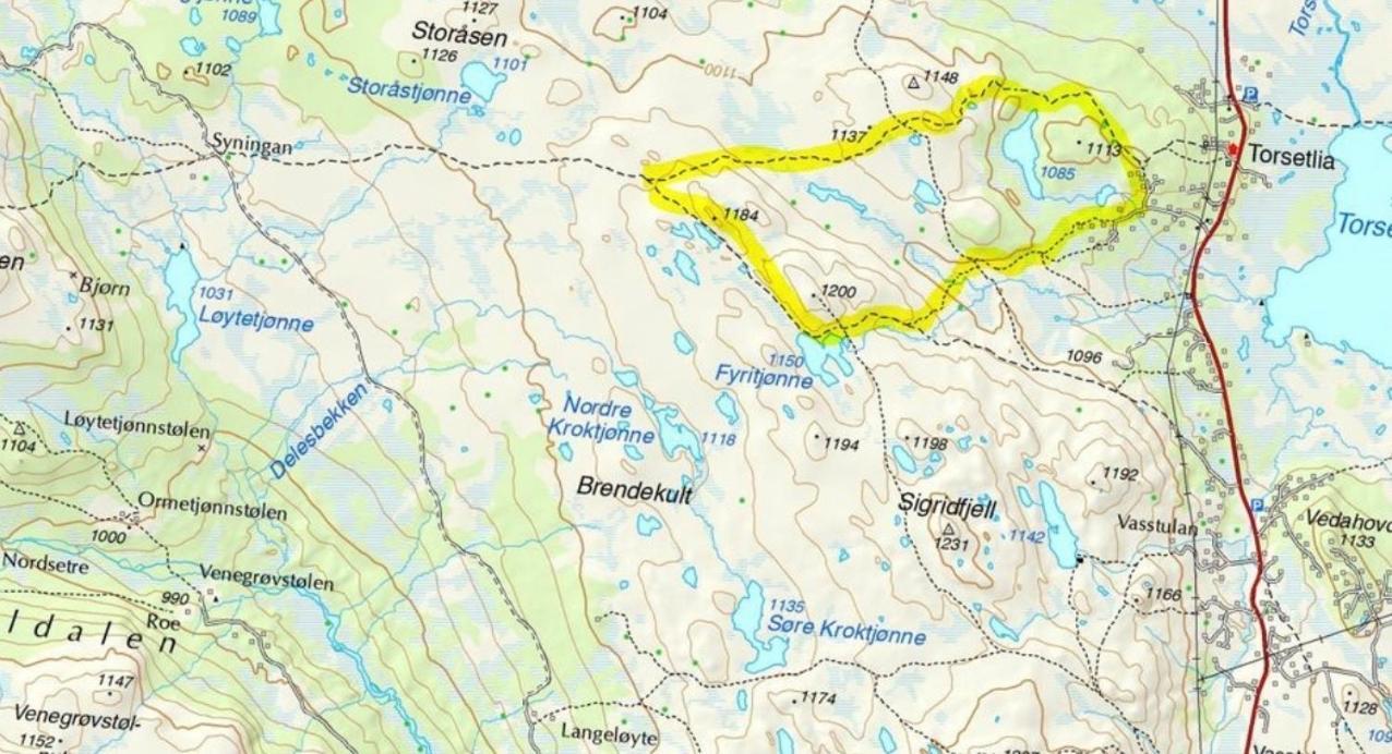 Berntebu Villa Uvdal Eksteriør billede