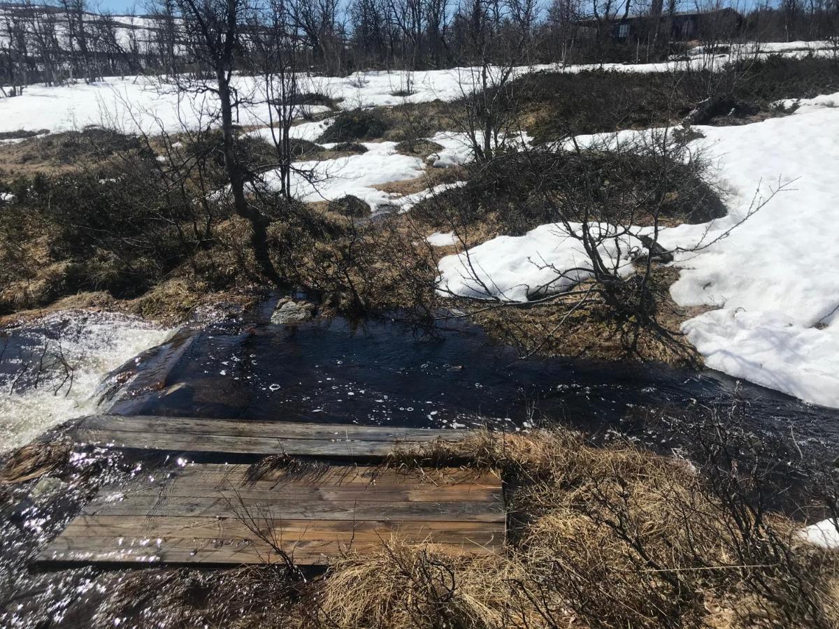 Berntebu Villa Uvdal Eksteriør billede