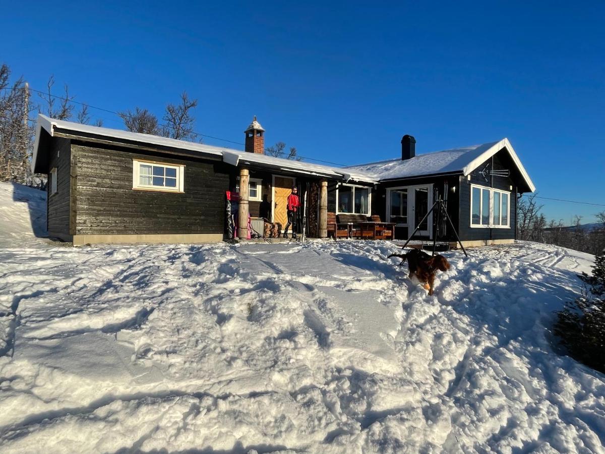 Berntebu Villa Uvdal Eksteriør billede